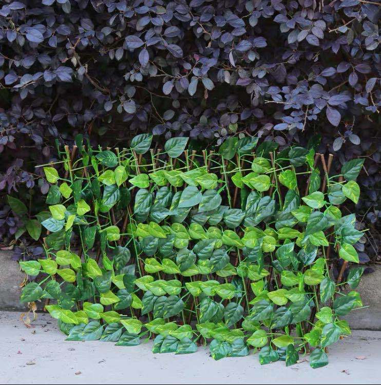 Plant Climb Trellis Extension Type Garden Buildings Anticorrosive Wood Pull Net Wall Fence Garden Home Wall Decoration