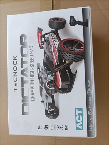 Tecnock RC Remote Control Car for Kids, 1:18 High Speed 20 KM/H 2WD RC Buggy, 2.4GHz Off Road Racing Car with Rechargeable Batteries, Gift for Boys and Girls