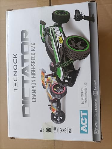 Tecnock RC Remote Control Car for Kids, 1:18 High Speed 20 KM/H 2WD RC Buggy, 2.4GHz Off Road Racing Car with Rechargeable Batteries, Gift for Boys and Girls