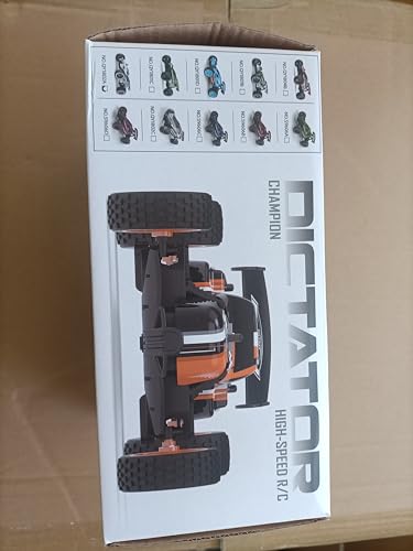 Tecnock RC Remote Control Car for Kids, 1:18 High Speed 20 KM/H 2WD RC Buggy, 2.4GHz Off Road Racing Car with Rechargeable Batteries, Gift for Boys and Girls