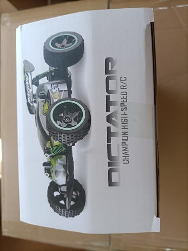 Tecnock RC Remote Control Car for Kids, 1:18 High Speed 20 KM/H 2WD RC Buggy, 2.4GHz Off Road Racing Car with Rechargeable Batteries, Gift for Boys and Girls