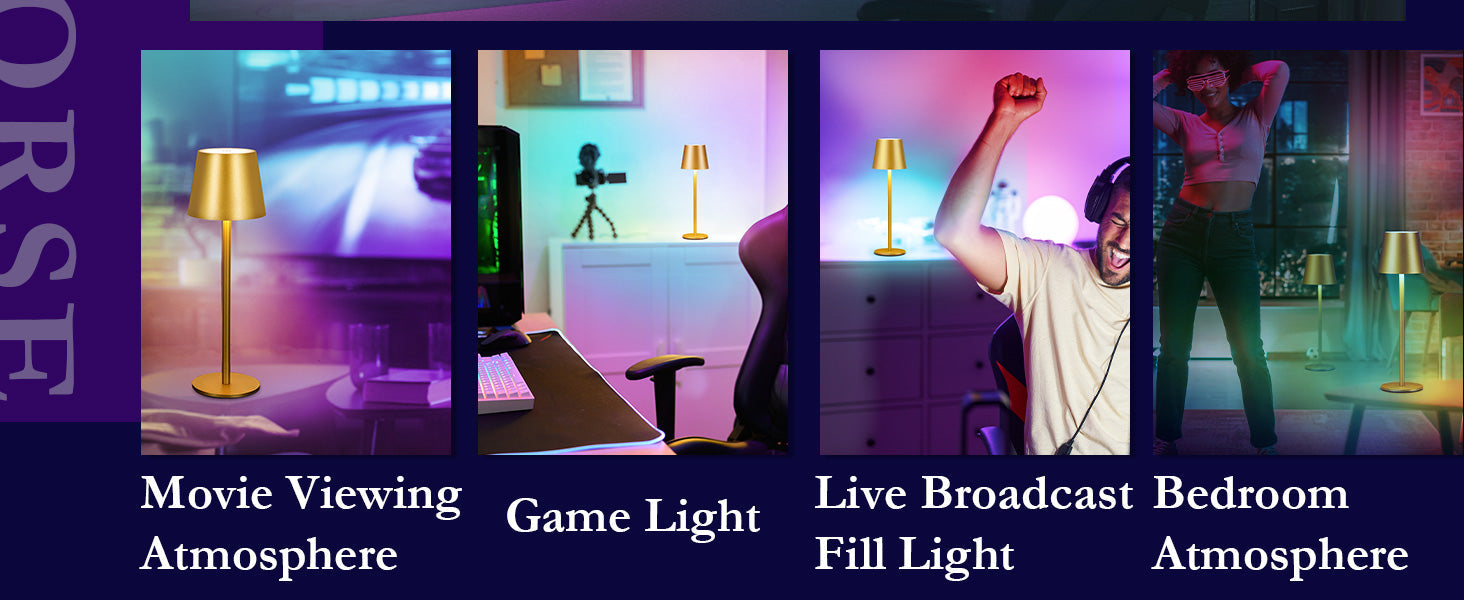 Cordless LED Table Lamp Rechargeable RGB Light Touch Dimmable IP54 White 2 Pack