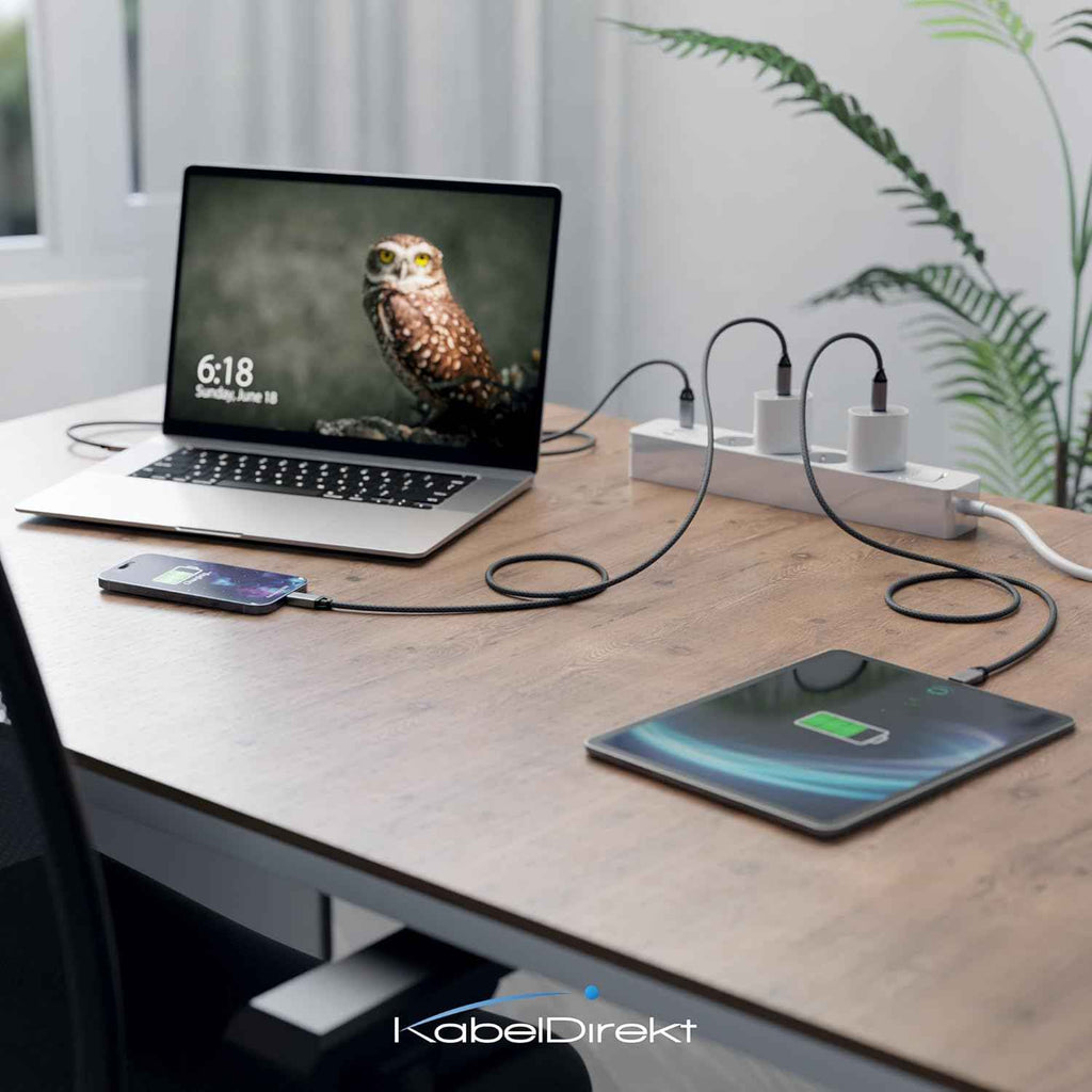 USB C Cable for Fast Charging - Break-Resistant Metal Plugs + Nylon Braiding 60W