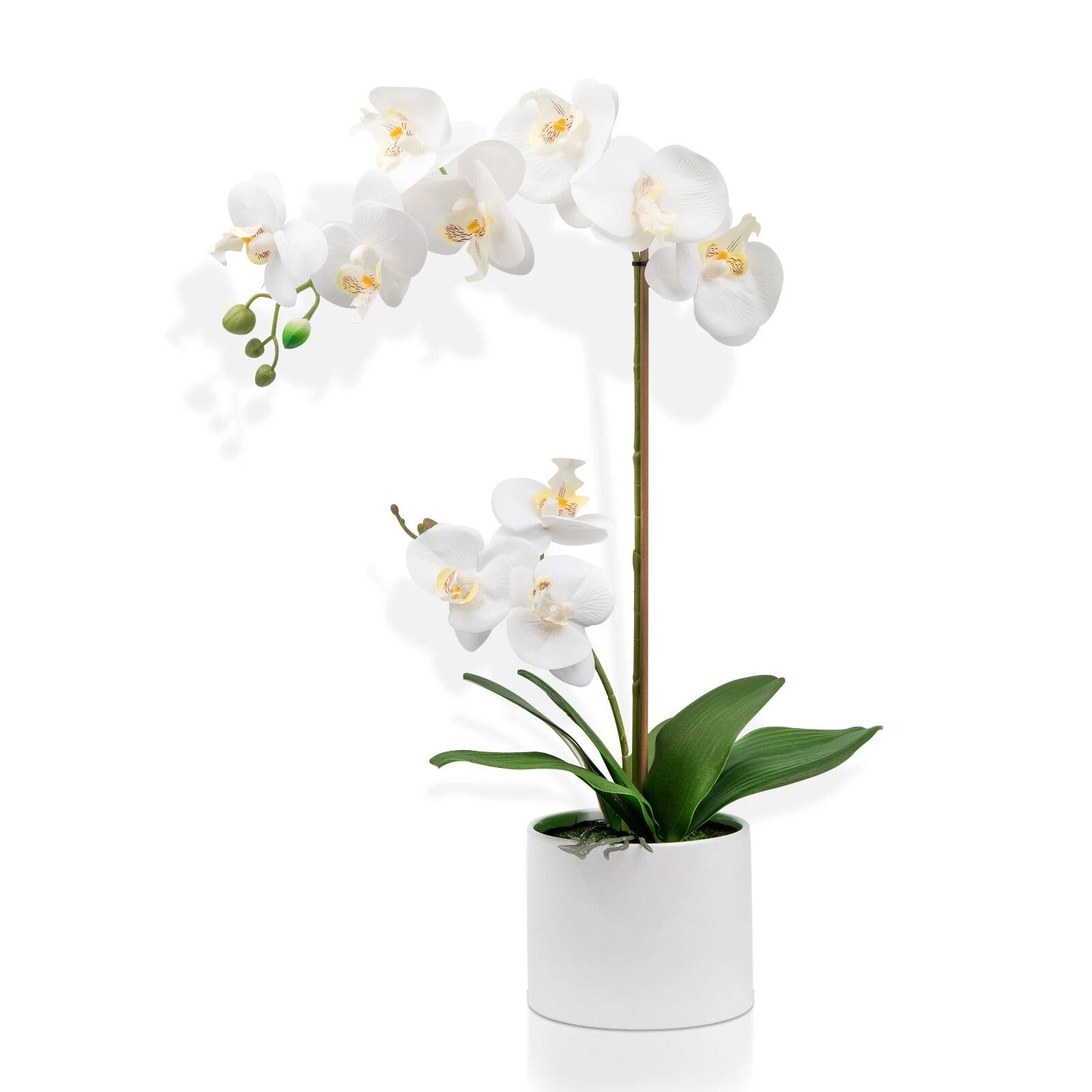 55cm Artificial Orchid Flower Plant