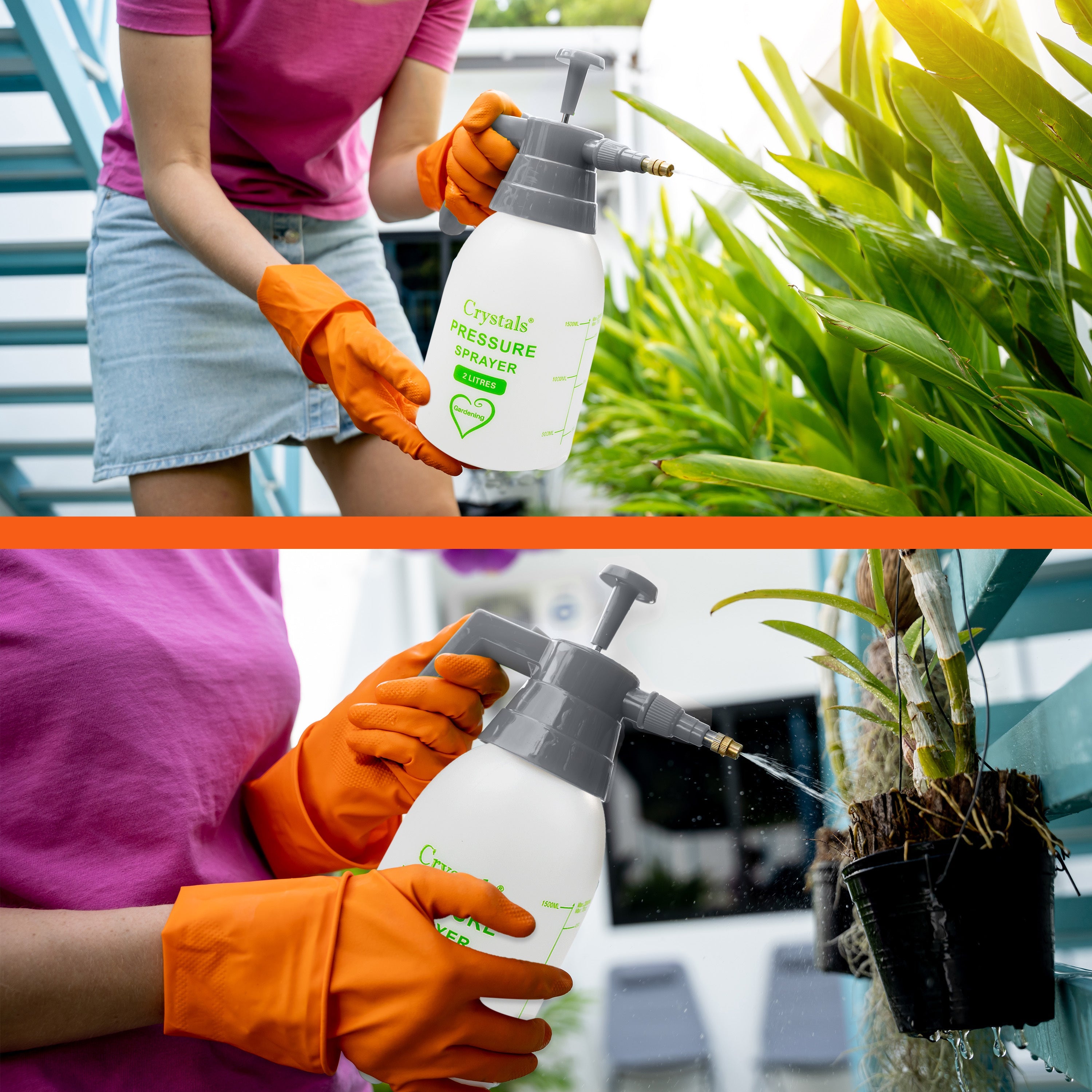 2 or 3 L Garden Hand Pump Pressure Sprayer