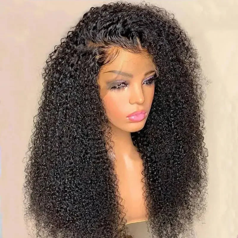 Wholesale 180% Density Kinky Curly Human Hair Wig Cheap Brazilian Human Hair 5x5 HD Transparent Lace Front Wigs for Black Women