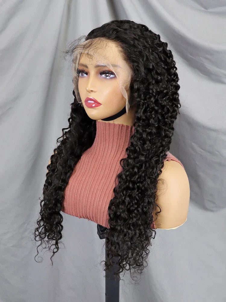 Raw 13x4 Straight Indian Hair Wigs Human Hair Full Transparent Lace Front Wigs for Black Women