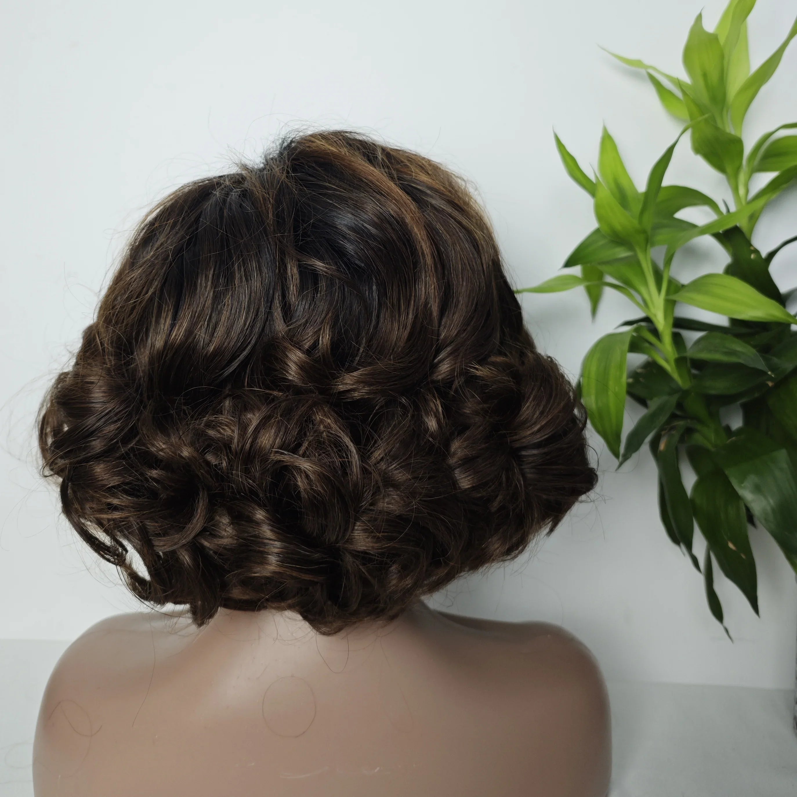 Wholesale Egg Curly Loose Wave 5*5 Glueless Wigs Vietnamese Raw Hair Wig Long Brazilian Virgin Hair Transparent Lace Virgin Hair