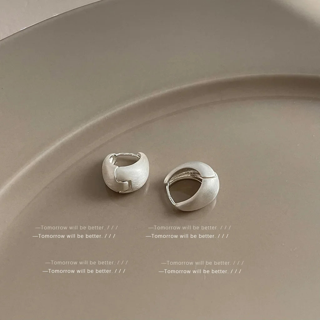 Trendy Brushed Matte Texture Geometric Earrings for Women Japanese and Korean Fashion Temperament Light Luxury Versatile Earring