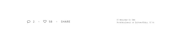 French Luxury Green Zircon Spliced Metal Copper Alloy Bracelet 2024 New Fashion Jewelry For Womens Party Charm Wrist Accessories