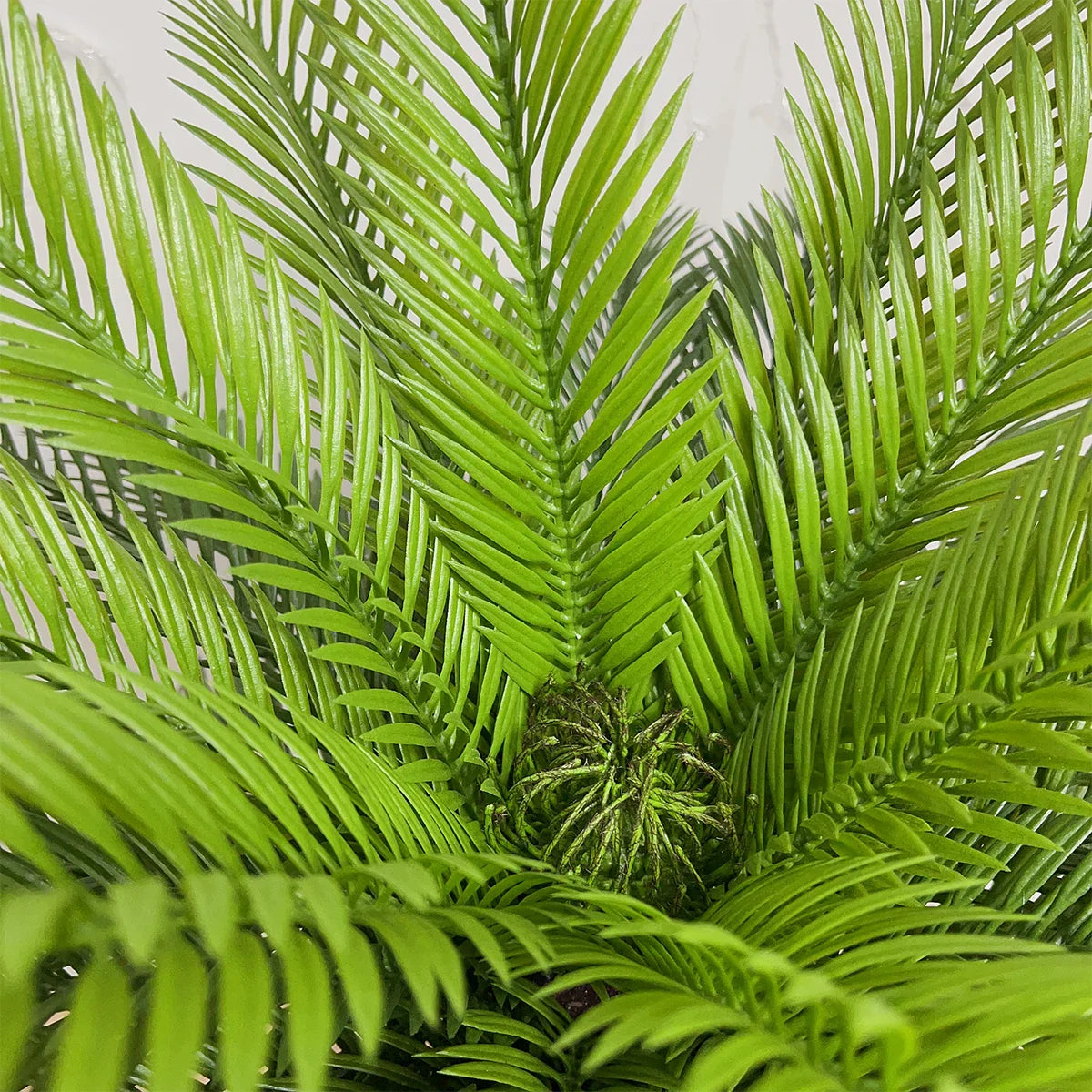 HXGYZP Artificial Coconut Tree Plant Potted Tropical Palm Tree With Plastic Pot Decoration Large Plants With Home Indoor Outdoor