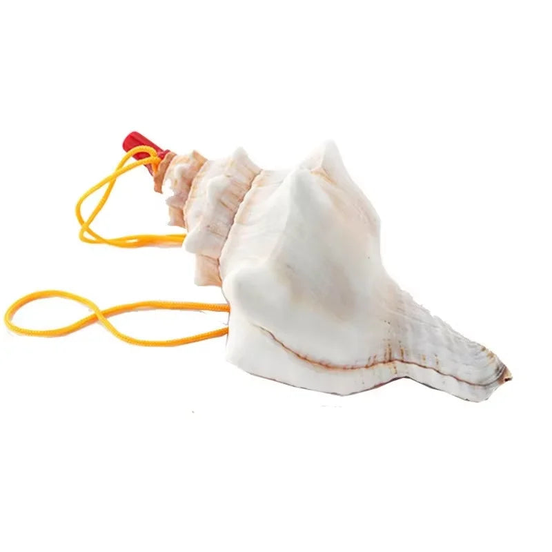 Disney New Movie Moana 2 Dress Christmas Girl Moana Princess Dress Cosplay Girls One-Shoulder Suspender Dress Accessories Set