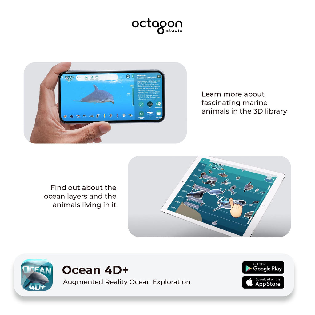 Ocean 4D+ Augmented Reality Cards