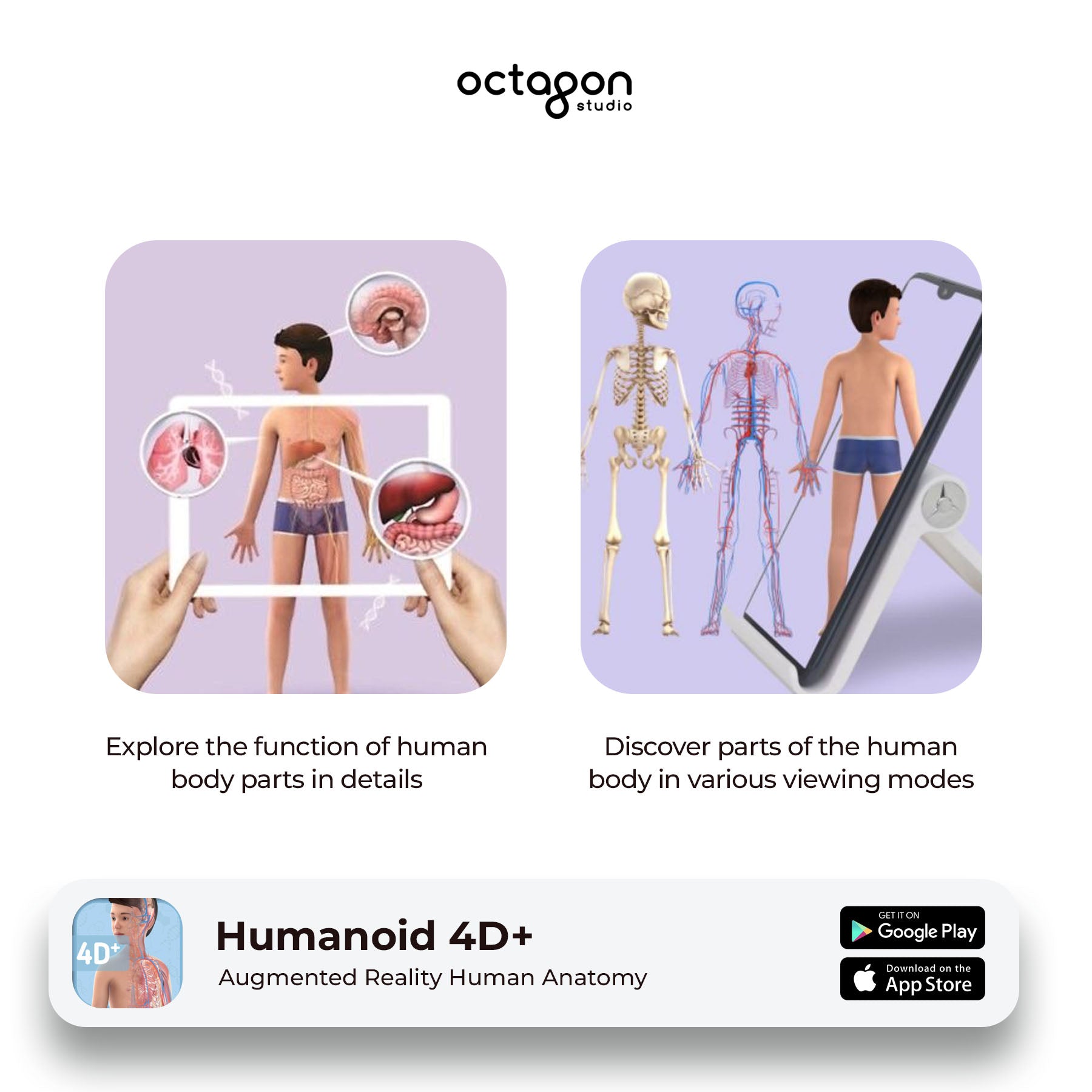 Humanoid 4D+ Augmented Reality Cards