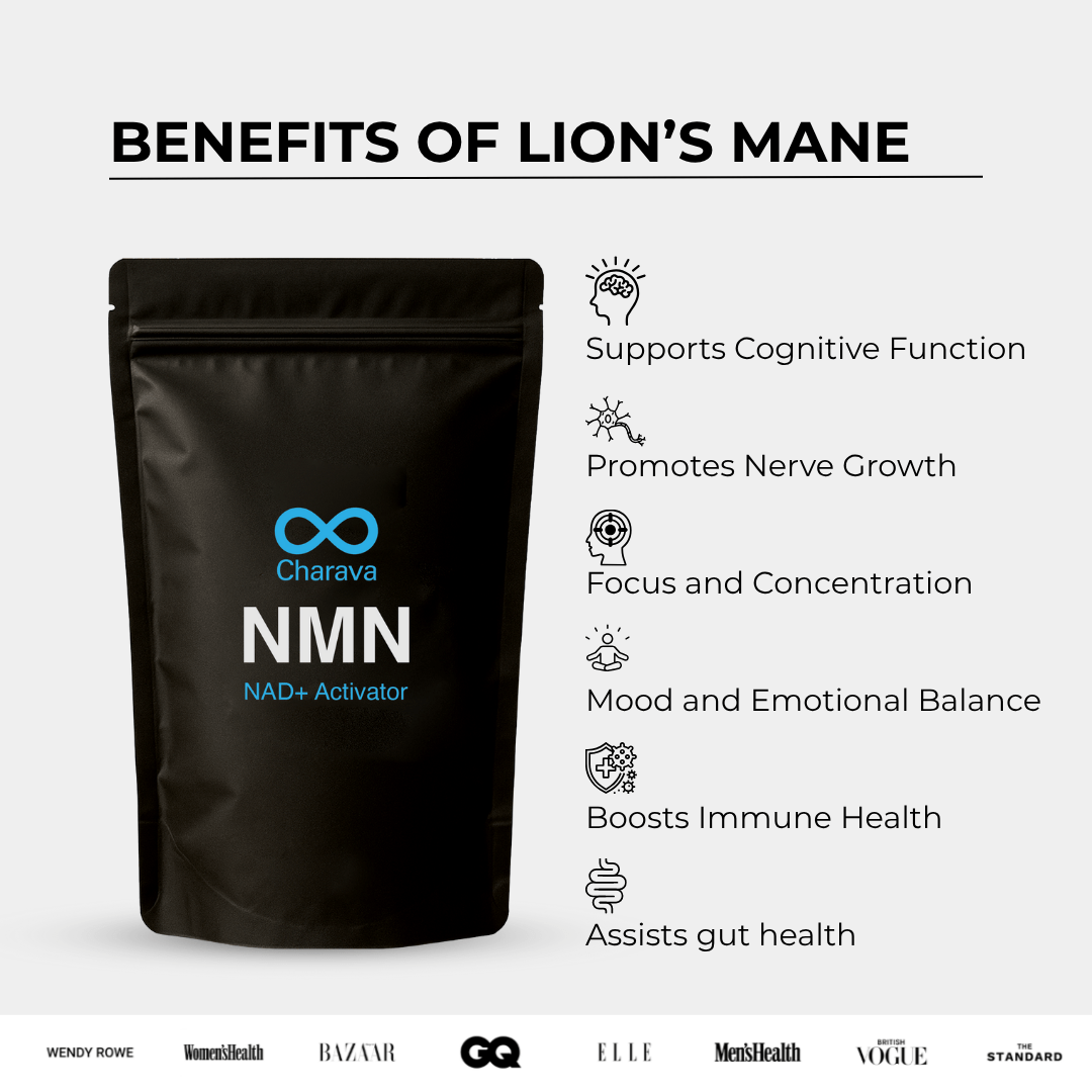 Lion's Mane Powder - 60 Grams - 30 Servings