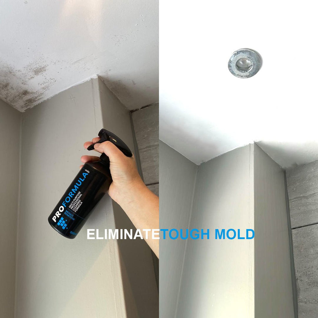Proformula Mould Remover Gel Spray | Tackle Tough Mould With Ease!
