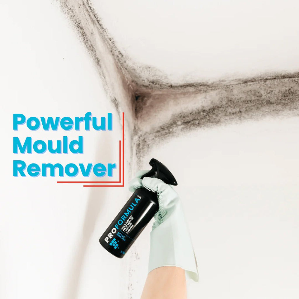 Proformula Mould Remover Gel Spray | Tackle Tough Mould With Ease!