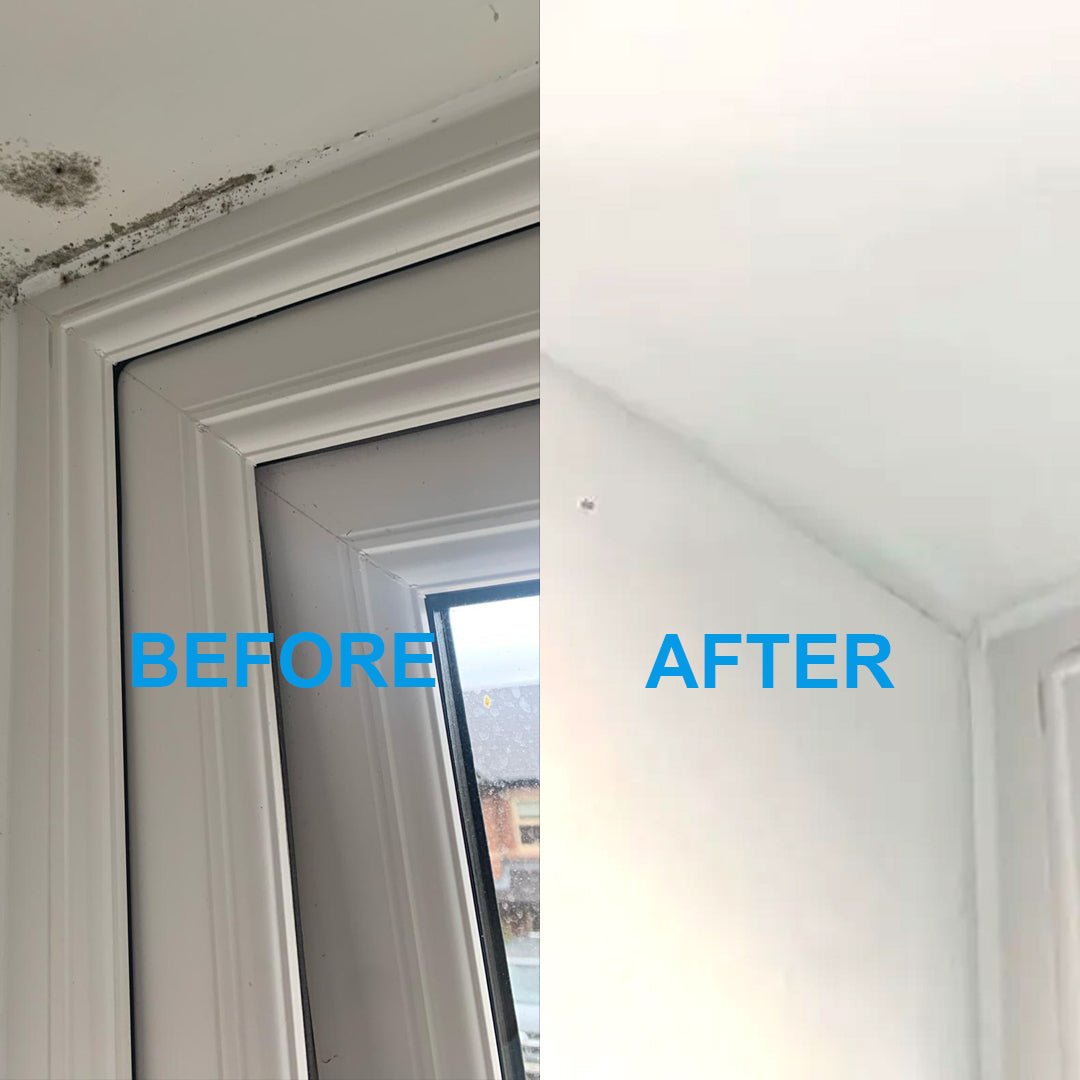 Proformula Mould Remover Gel Spray | Tackle Tough Mould With Ease!