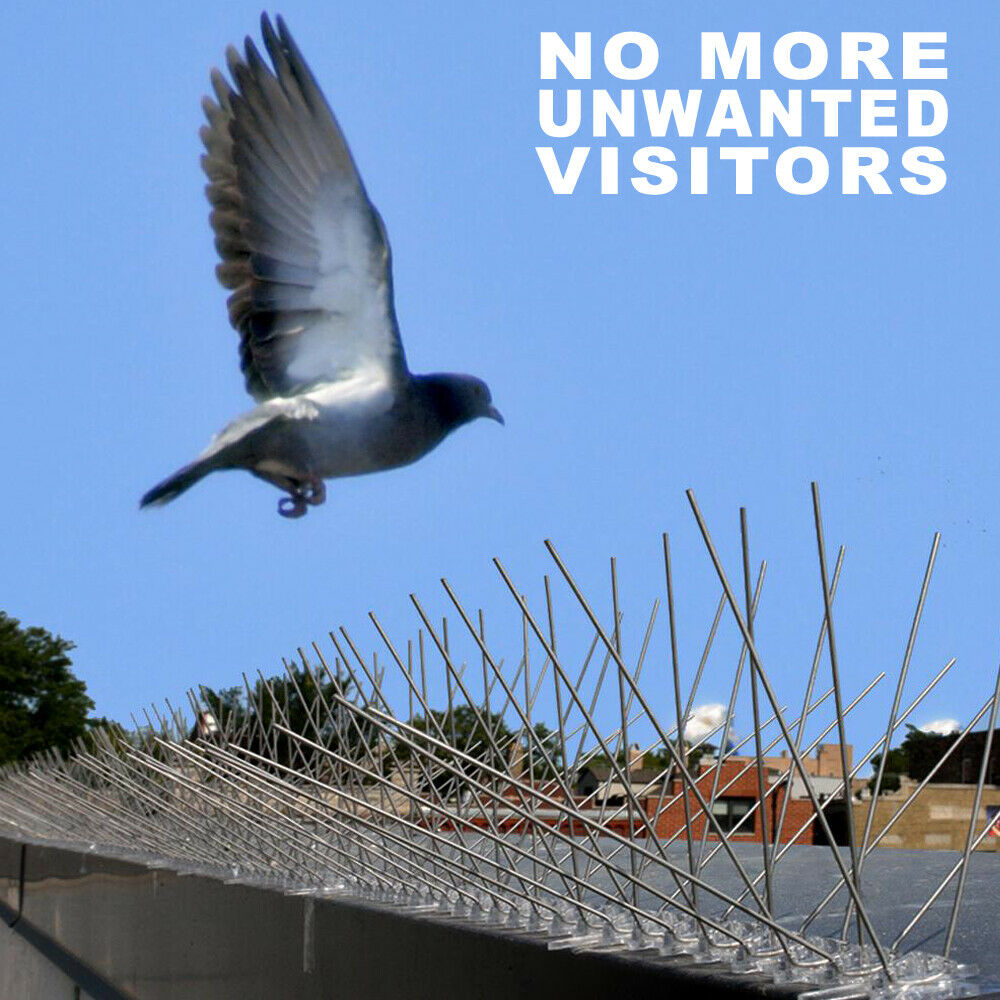 1M Anti Climb/Bird Wall Fence Spikes